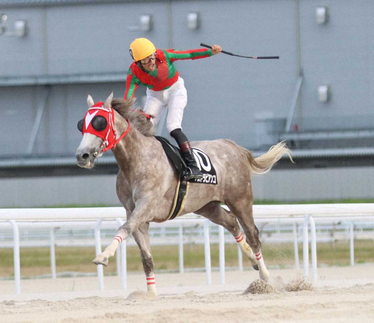 ニュース詳細 - WIN!競馬【地方競馬版】
