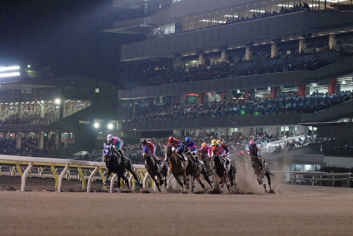 ニュース詳細 - WIN!競馬【地方競馬版】